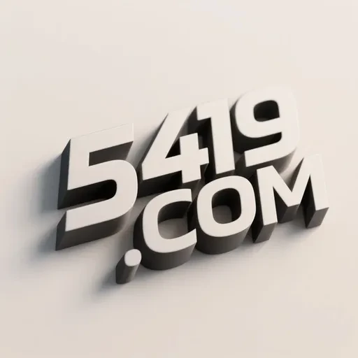 5419.com